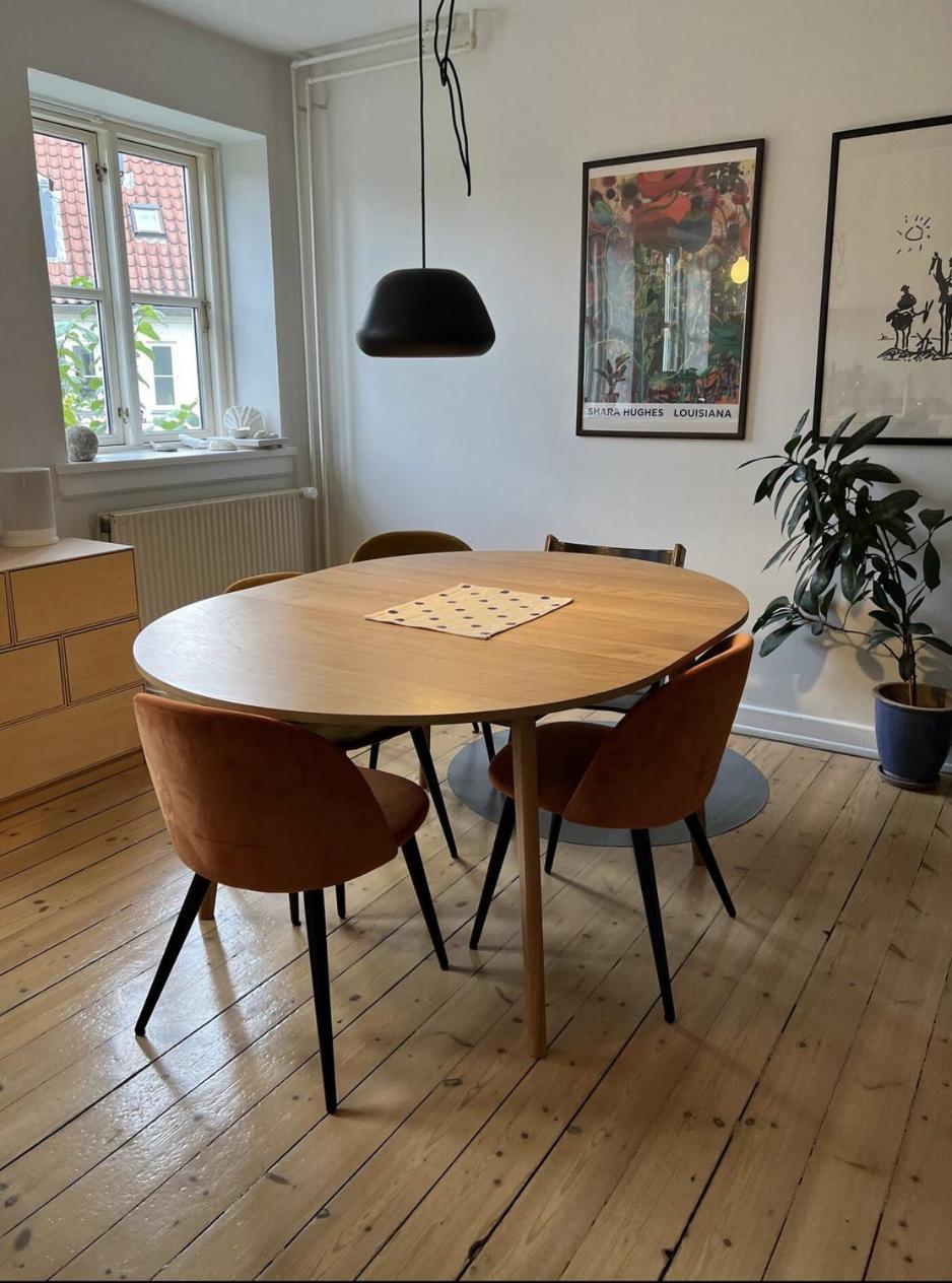 Nordic Cosy Retreat Apartment Copenhagen